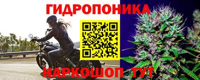 гидра Гусь-Хрустальный
